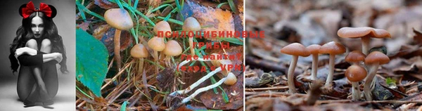 синтетический гашиш Балахна