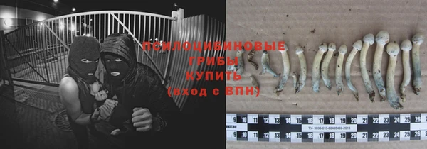 гидра Балабаново