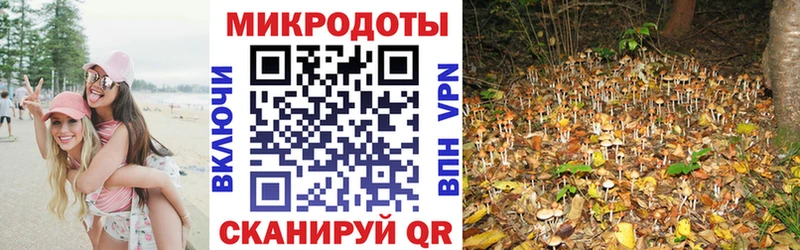 купить закладку  Дигора  Галлюциногенные грибы мухоморы 